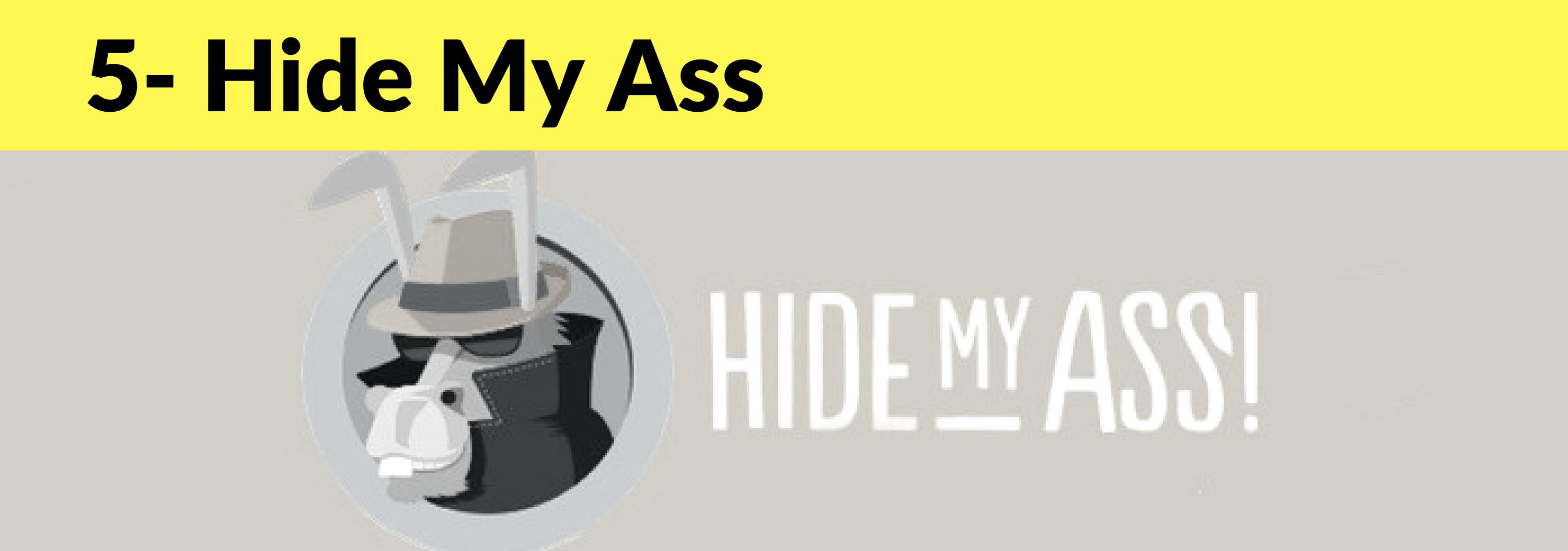 Hide My Ass -Best VPN (5)