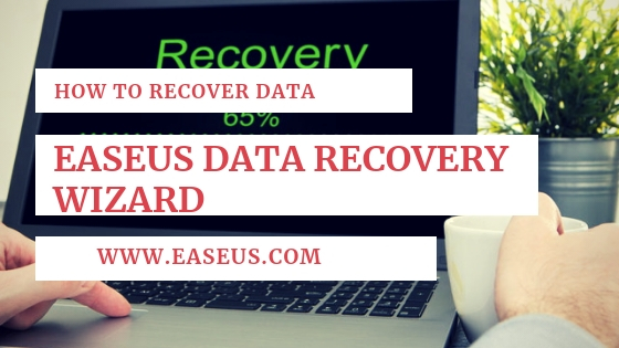 How to Recover Data Via EaseUS Data Recovery Wizard Free