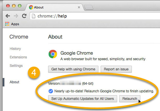 Update Chrome Browser 