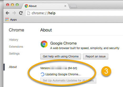 Update Chrome Browser 
